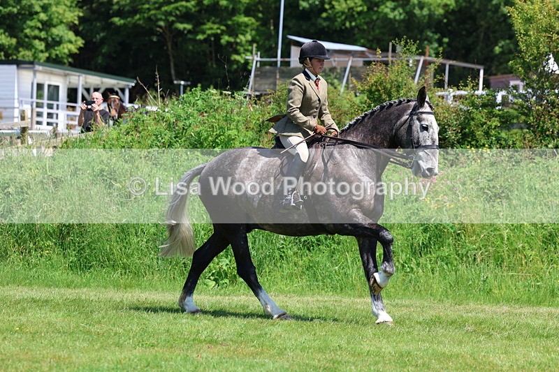 3E7A8254 - Class 13: Ridden Hunter