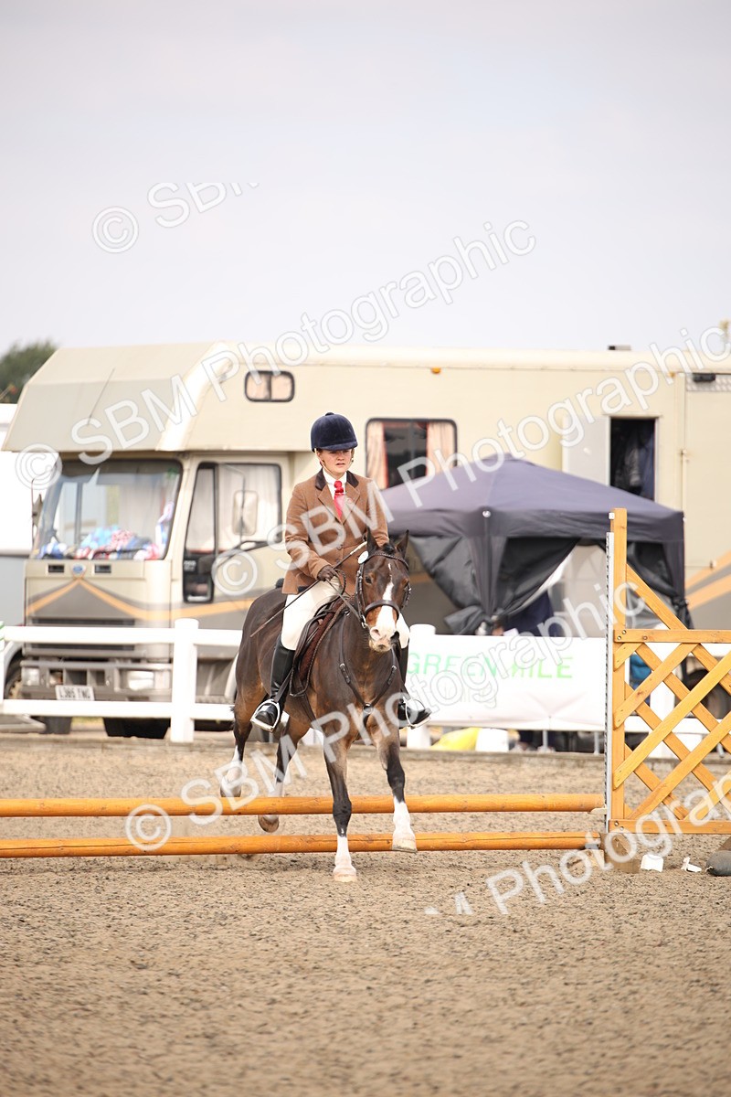 SBM_13565 - Class 406b - Working Veteran 50cm (20+)