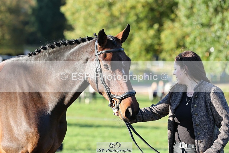 241027-085258-14873 - 459-Rachael.Hardman-I.M.ALL.YOU.WANT