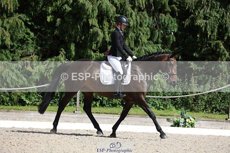 230811-154632-02526 - Cls 1 Prelim Bronze 15.00 to End