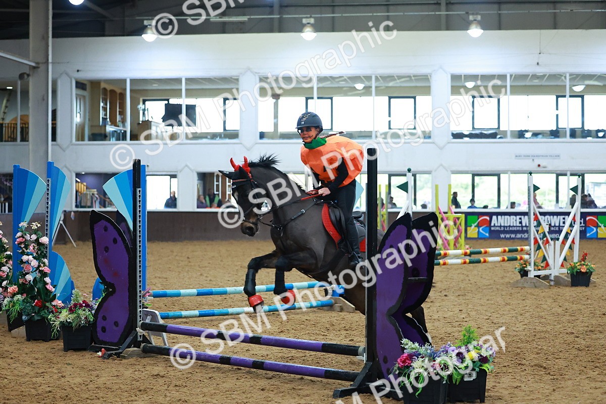 SBM_002191 - Class 3 - Horse & Hound (60cm)