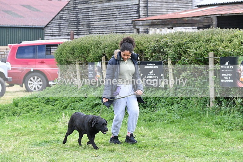 WJ5_0025 - Class 5 Best Veteran / 7 years & over