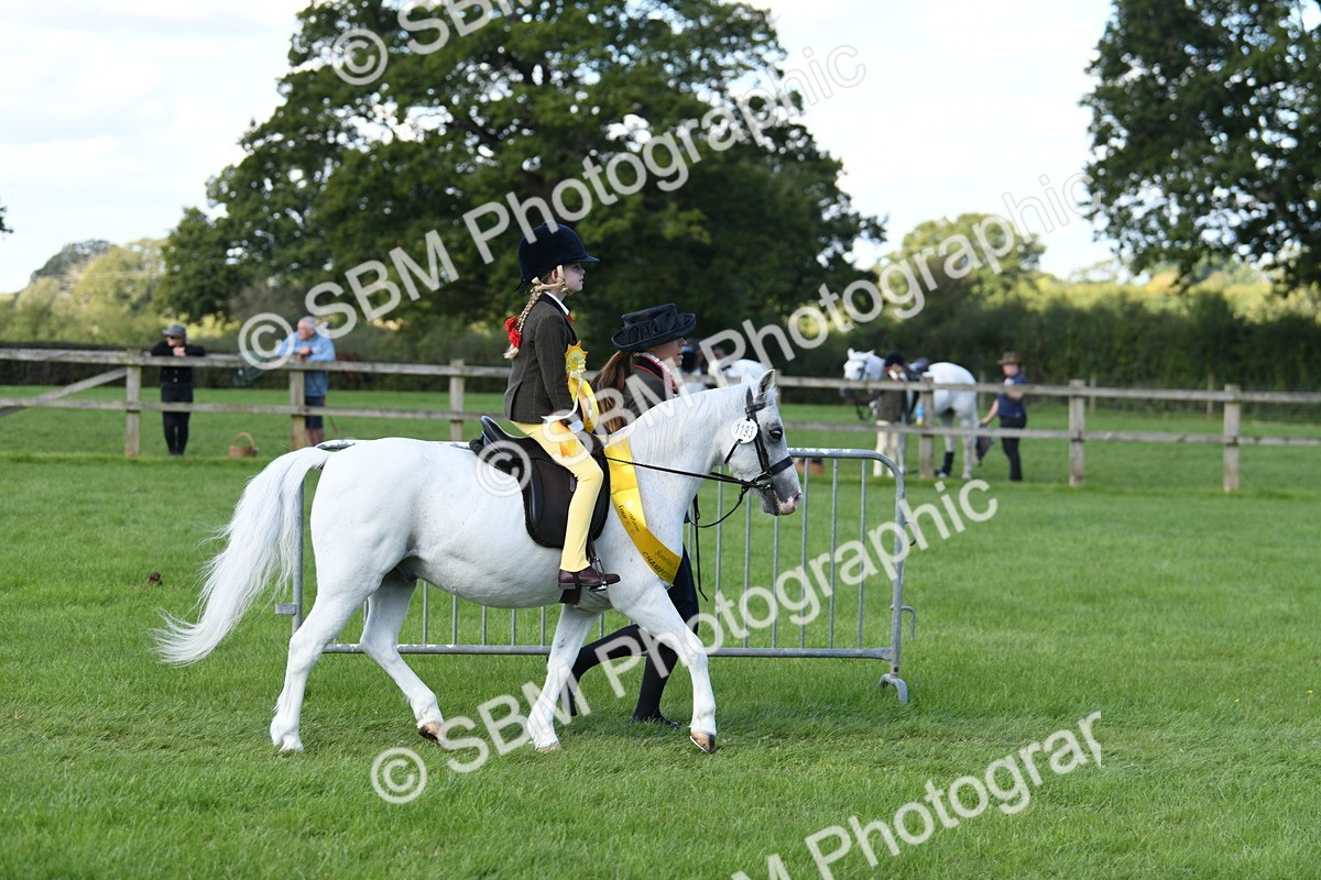 SBM_39707 - S18 - Novice & Newcomers Lead Rein Pony