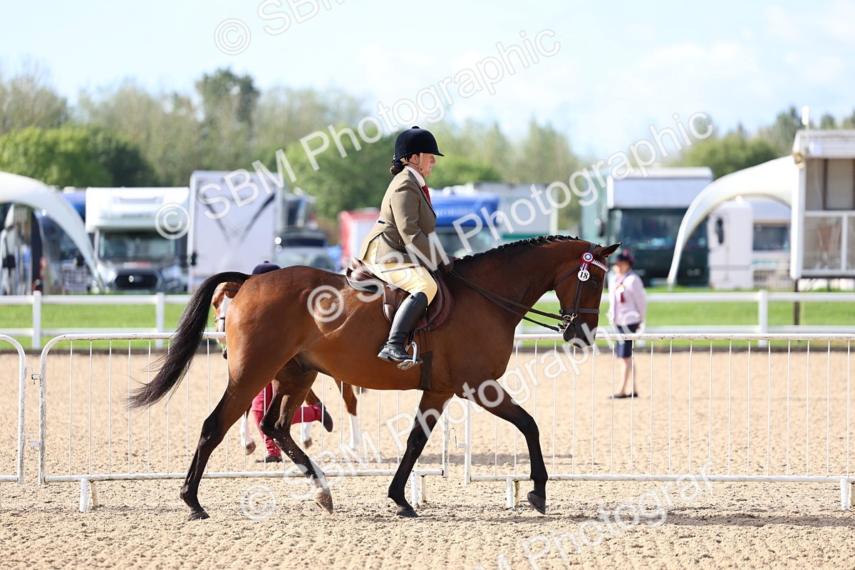 SBM_09101 - Class 303 - Ridden Pure Bred Horse Pony