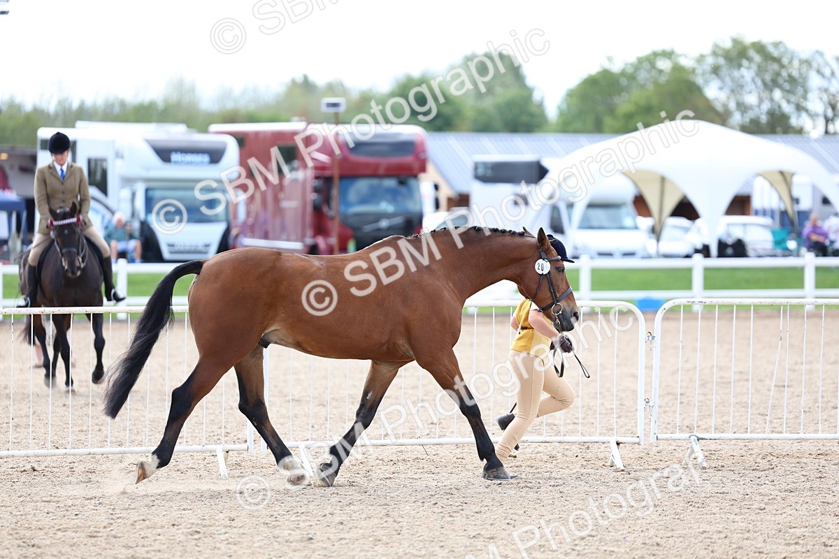 SBM_15326 - Class 312 - IH Competition Horse-Pony