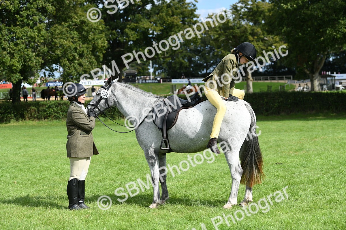 SBM_46888 - S12 - Family Horse & Pony