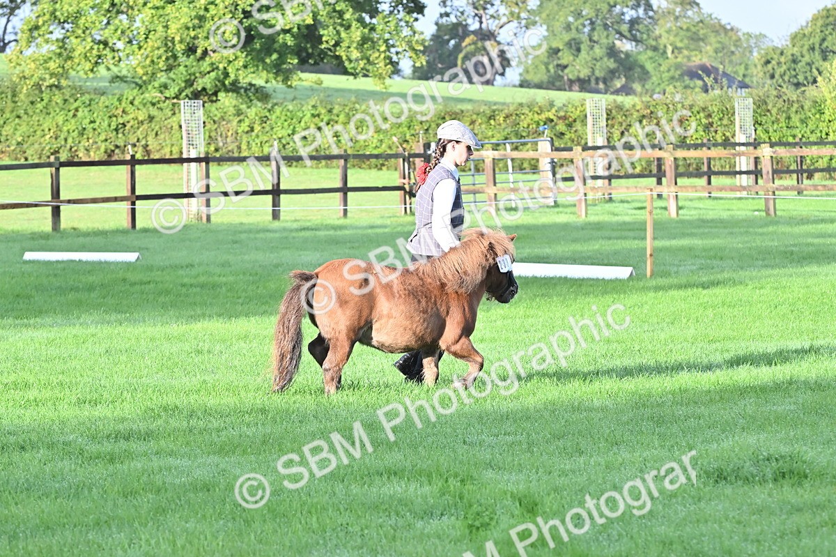 SBM_32580 - S15 - Top Turnout In Hand