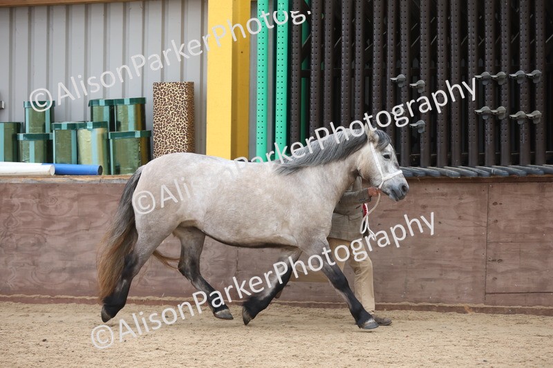 20251109-1135 - Championship