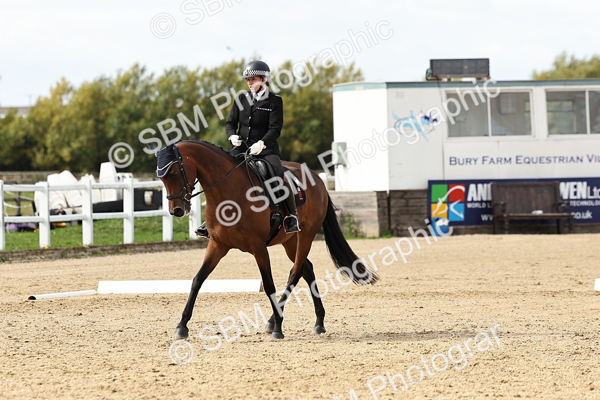 SBM_004965 - Class 73 - Medium 2