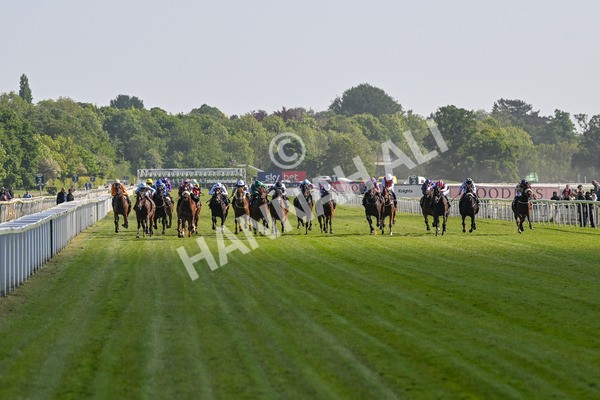 160525-Race 5-The Man-6982 - Race 5 4.15pm Irish Thoroughbred Marketing Handicap