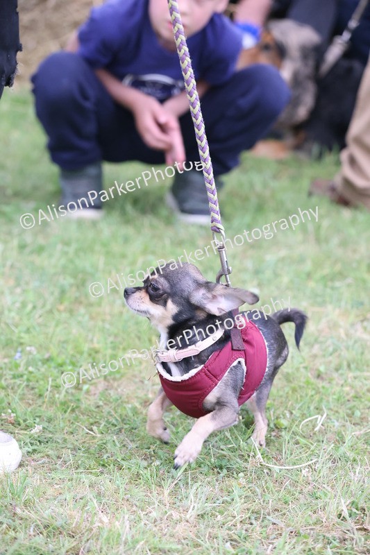 20250607-0208 - Class 4 - Little and Large