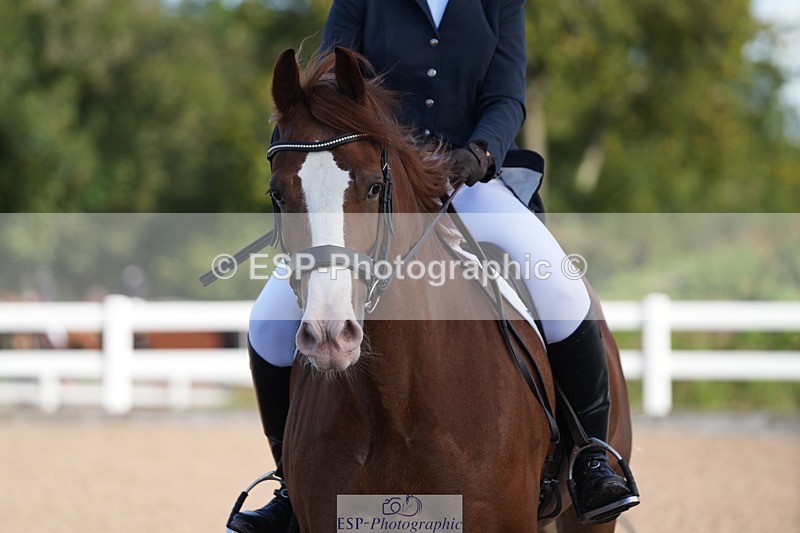 250912-094903-03448 - Cls 21 Snr British Novice and 90cm Open