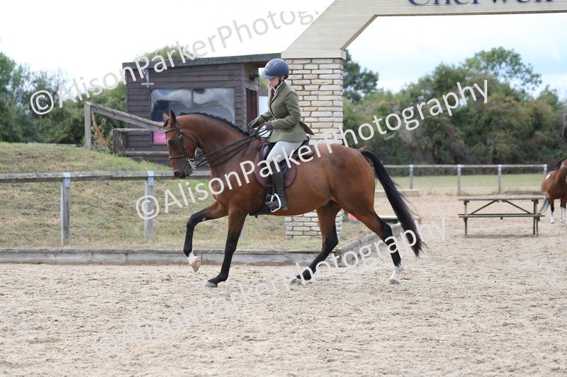 20260831-2620 - Class 15 - Ridden Retraining of Racehorses