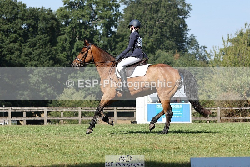 250823A-105145-27817 - Arena D