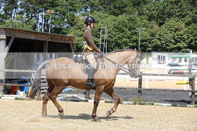 1X9A8861 - Class 19: Riding Club Horse