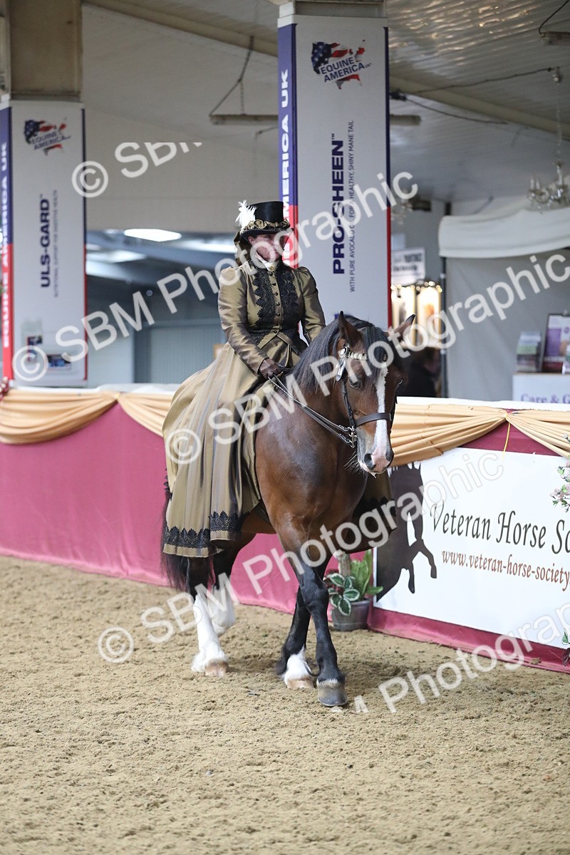 SBM_11954 - Class 106 Ridden Costume- Astride Adult (15-19)