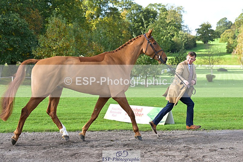 241023-130939-00105 - 054-Matthew.Heath-DASSETT.VENTURE