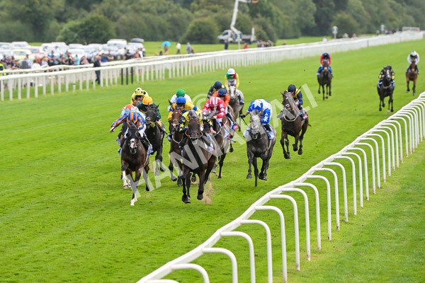 240824-Race 2-Tabletalk-1284 - Race 2 2.25pm Sky Bet Melrose Handicap