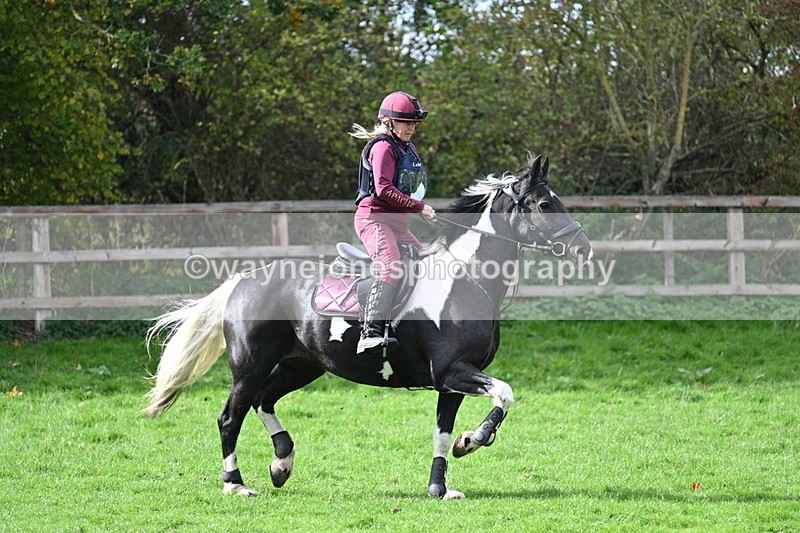 WJ7_8716 - Time 12:12 to 12:37