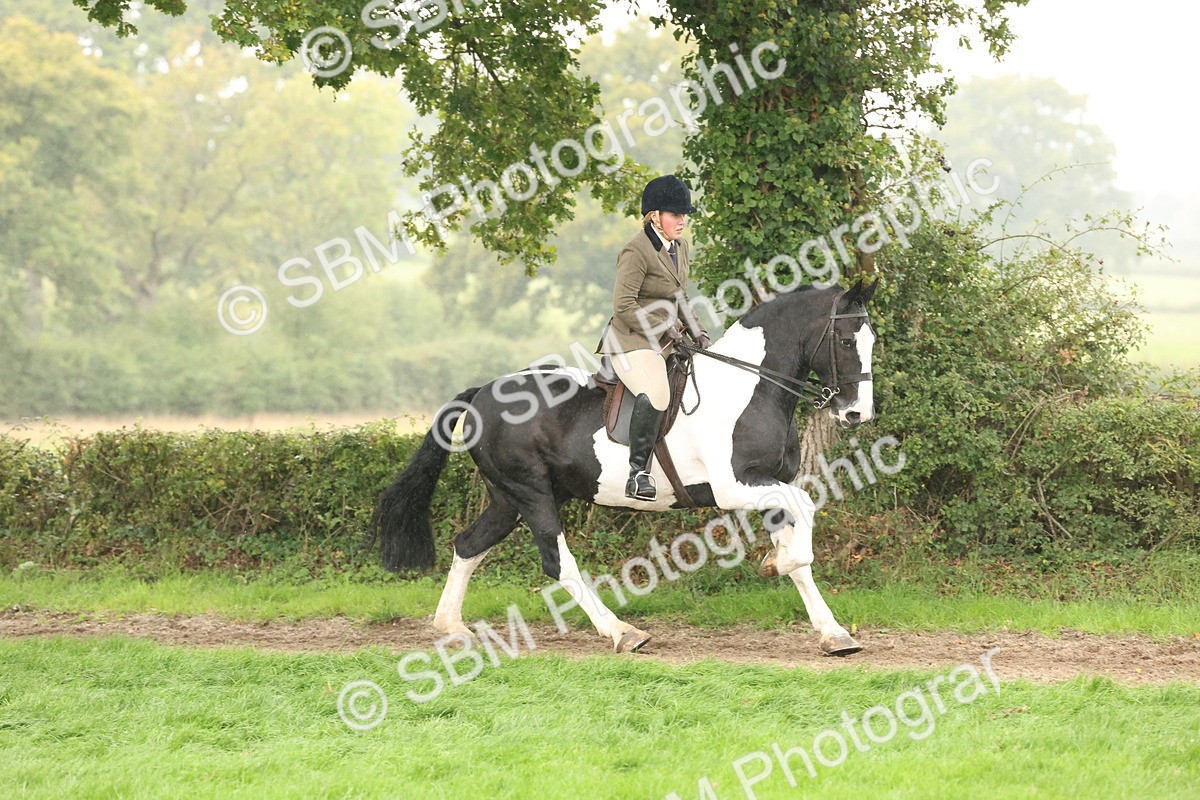 SBM_69799 - S69 - Show Cob Ridden