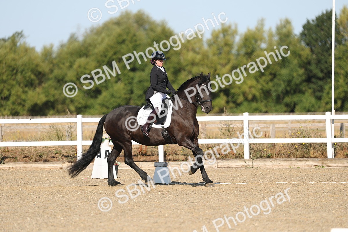 SBM_012645 - Class 1 - P5 Bronze 9.00.10.12
