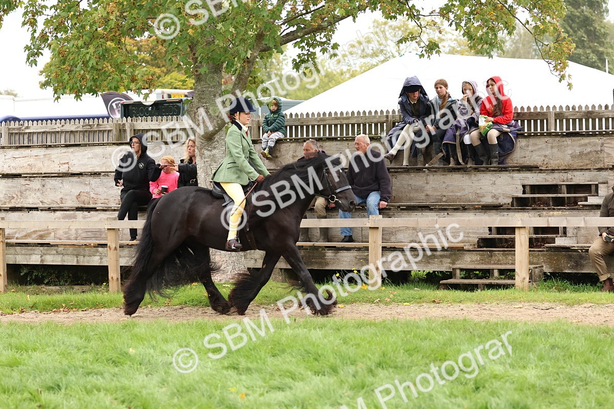 SBM_69583 - S62 - Mountain & Moorland Ridden Large Breeds