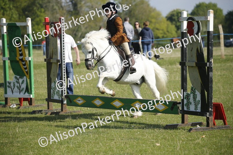 20250427-0302 - Class 12 - Rookie Jumping 40cm