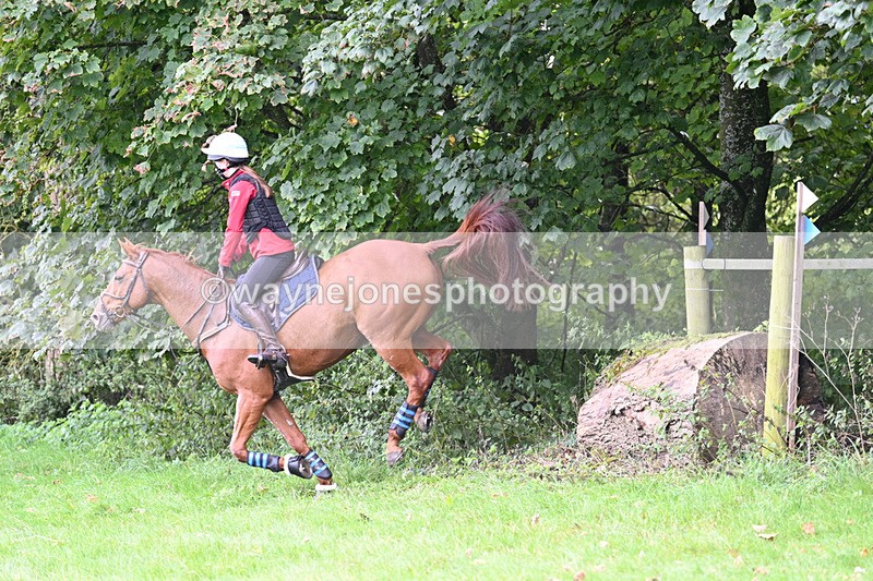 WJ7_7873 - Time 13:50 to 14:03