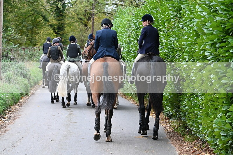 WJ7_7279 - Walk Home..