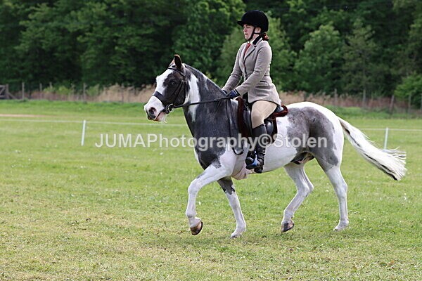 IMG_3299 - Working Hunter