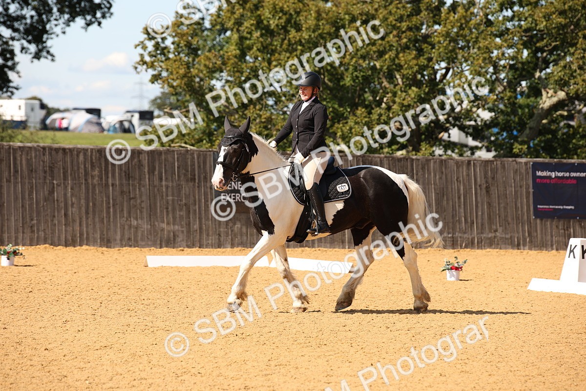 SBM_24128 - D5 - Small Tour Championship - Intro C