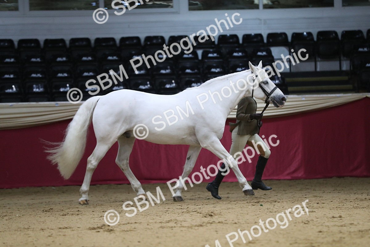 SBM_04408 - Class 7R Regional - IH Diamond