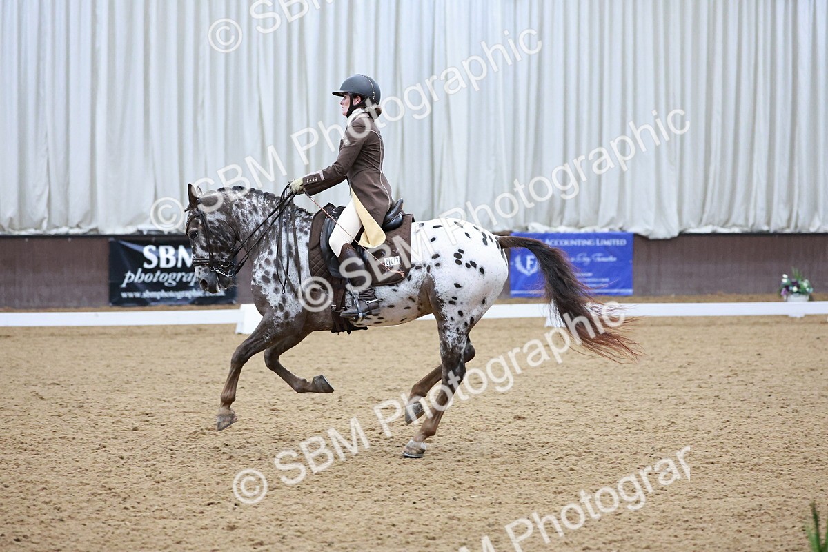 SBM_021377 - Class 14 - FEI Grand Prix - 17.40-18.34
