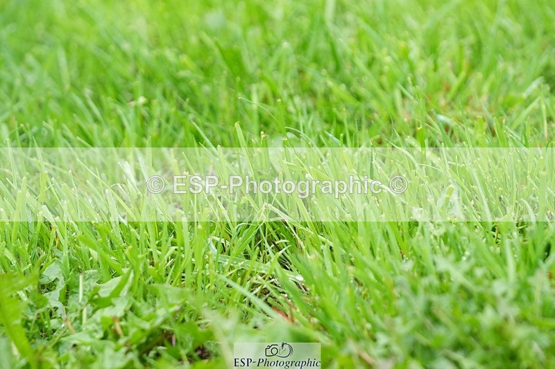 250920-143920-01460 - Cls 18-20 CoH 1.10m, 1.20m and 1.25m