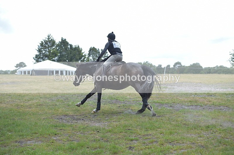 NGP_8830 - Time 12:16 to 12:25