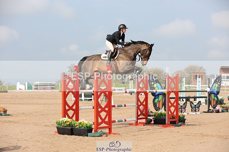 250424-102602-03007 - Cls 33 Young Horse 7yr old