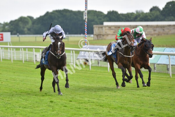 yr11062021r5-12 - Race 5 4.00pm Sky Bet Ganton Stakes