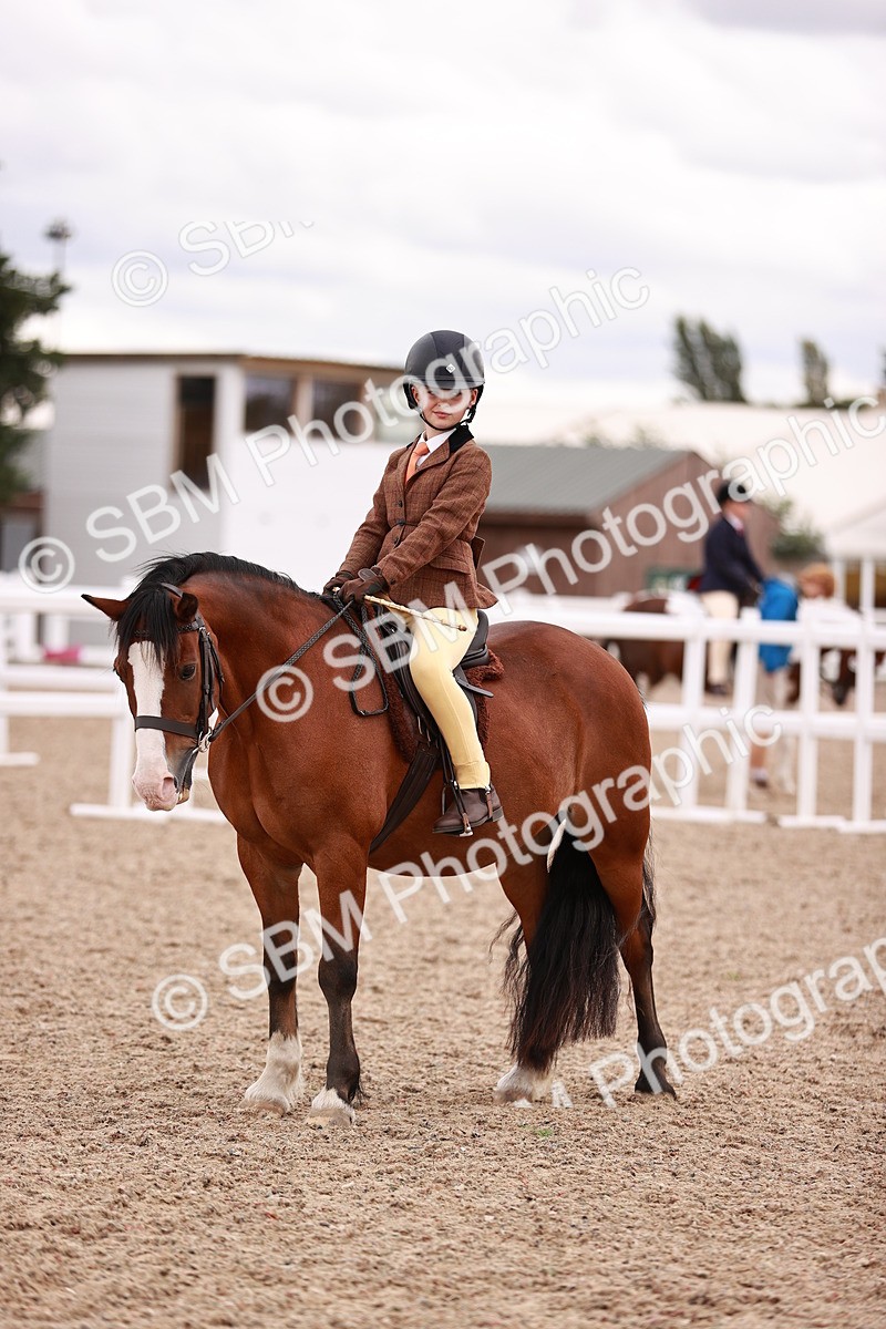 SBM_18481 - Class 420 - Ridden M&M