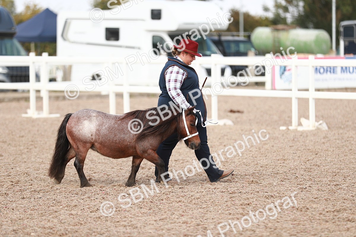 SBM_13823 - Class 209 IH Veteran Pony