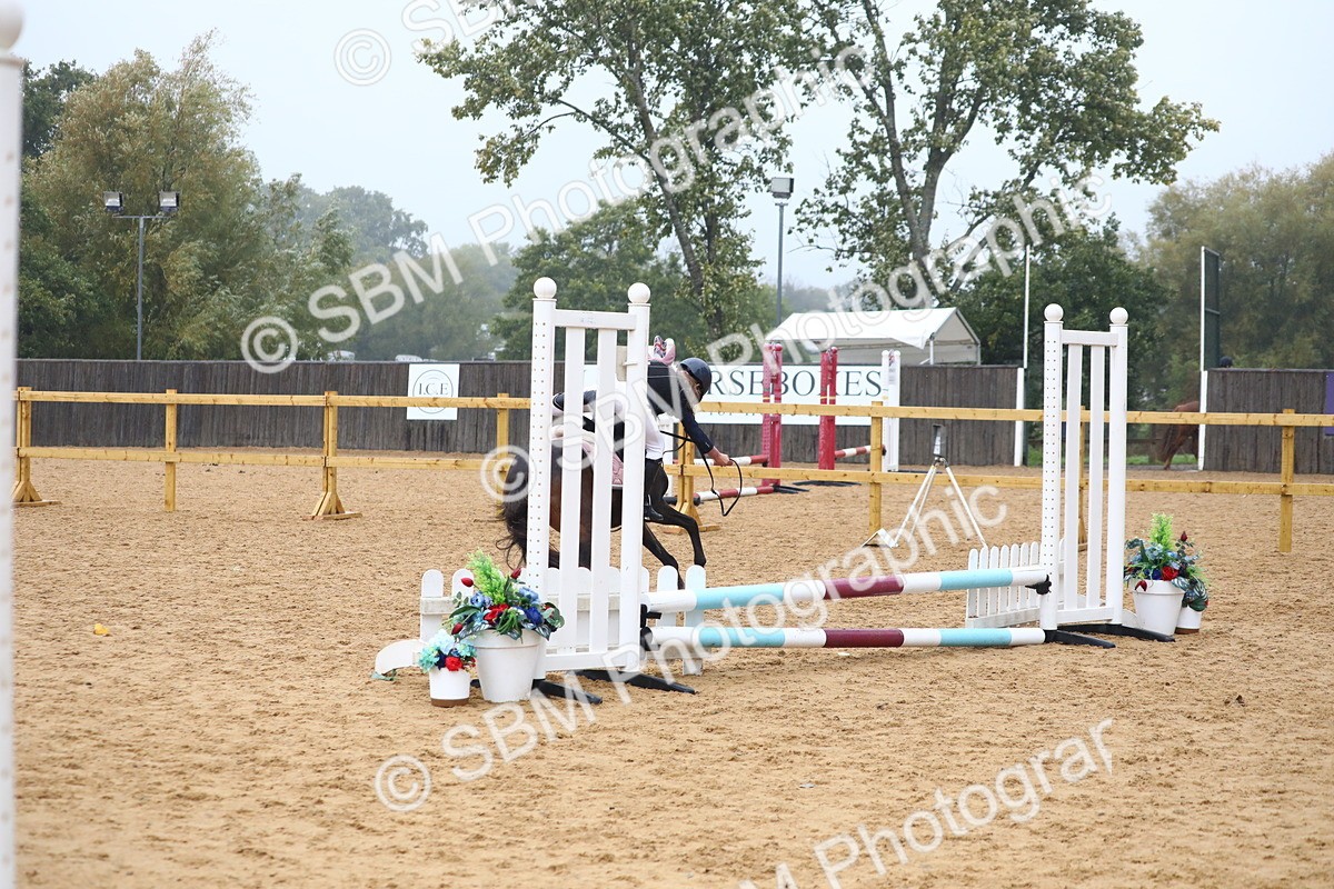 SBM_71763 - J4 - Mini Tour Junior Pony 45cm Championship