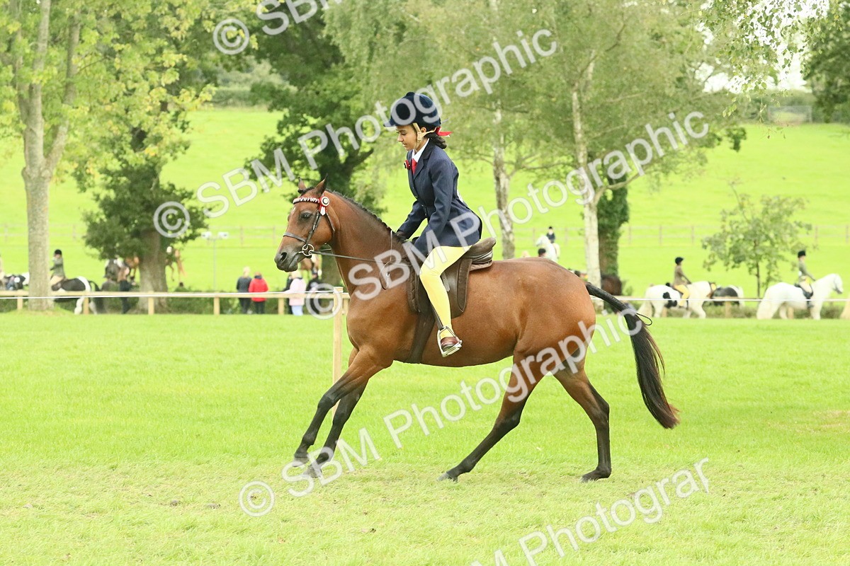 SBM_74032 - S 61 - Show Pony & Show Hunter Pony Ridden