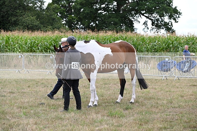 WJ6_6055 - Class 19 In-hand Veterans (Uploaded correct folder)
