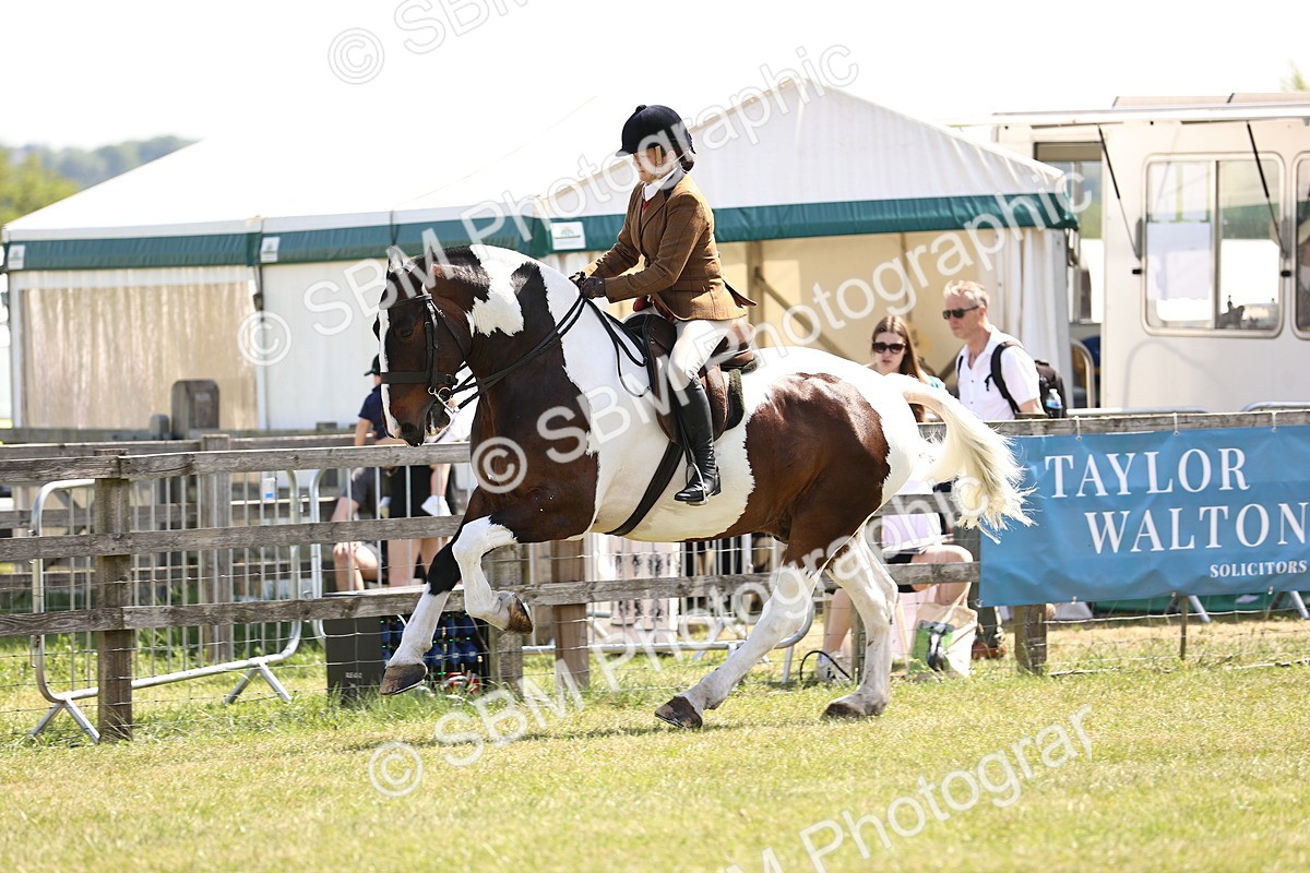 SBM_13793 - Class 77 - LIHS BSHA Rising Star Cobs