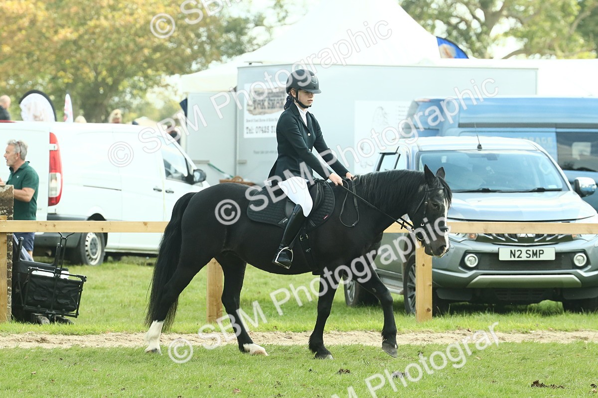 SBM_66400 - S34 - Rehabilitated Rescue Horse & Pony In Hand & Ridden
