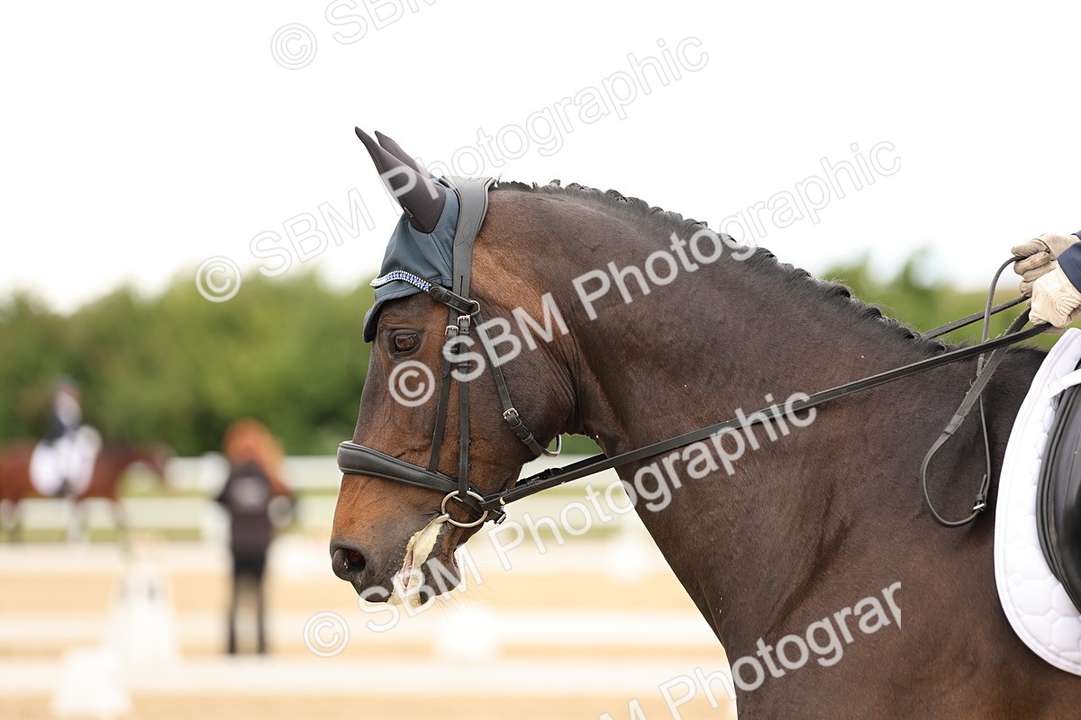 SBM_003552 - Class 6a - Novice 5 - 13.17-14.21