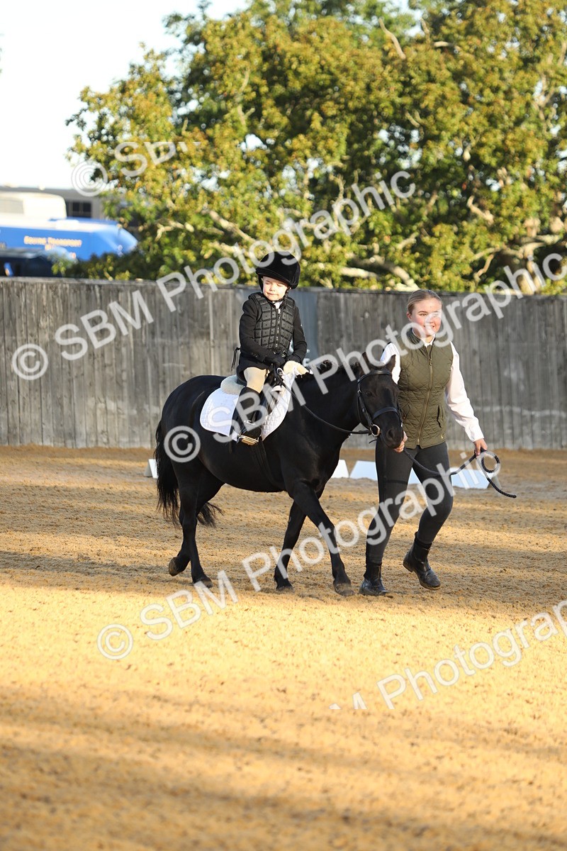 SBM_33553 - D26 - Starers - Lead Rein