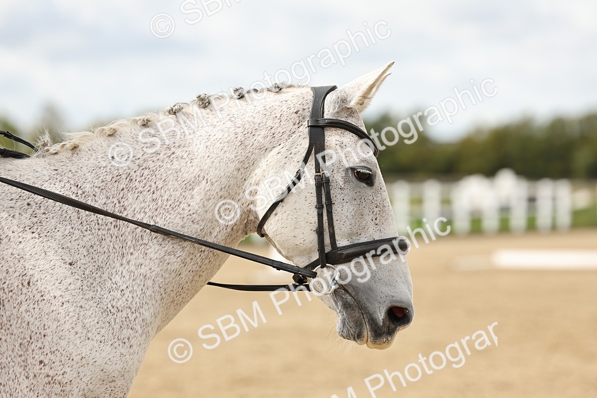 SBM_004717 - Class 69 - Novice 2