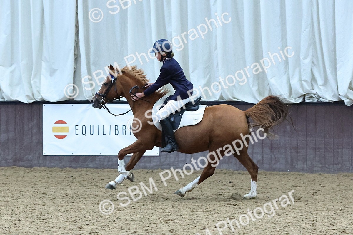 SBM_005619 - Class 7 - 70cm Open