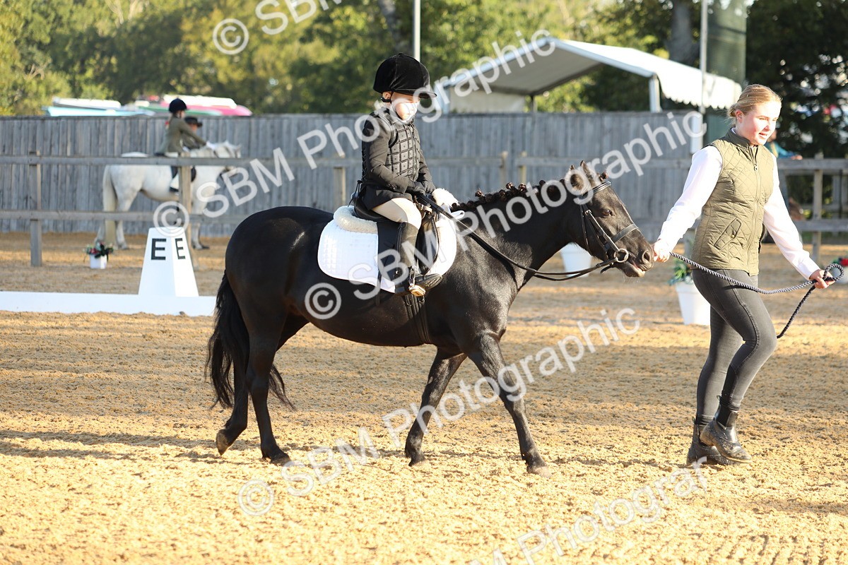 SBM_33576 - D26 - Starers - Lead Rein