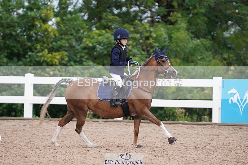 240809A-100834-00447 - Dressage Competition